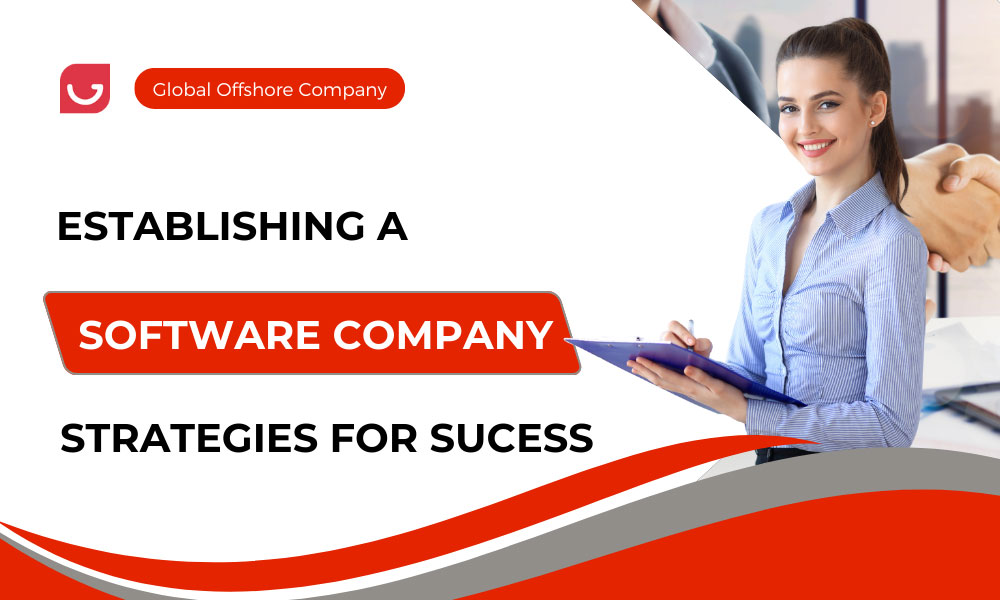 Establishing a Software Company: Strategies for Success
