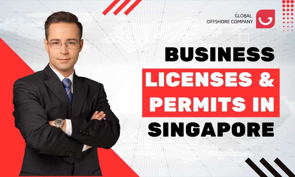 Navigating the World of Business Licenses and Permits in Singapore